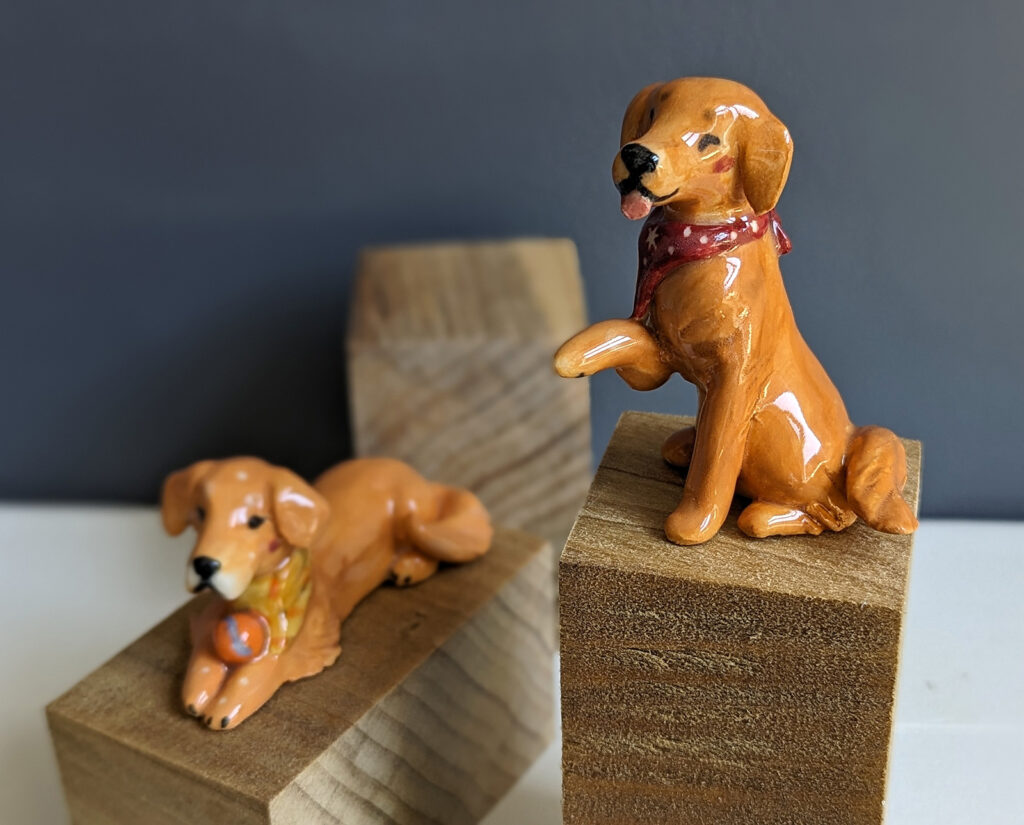Two golden retrievers portraits with a bandana and a ball