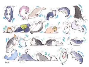 25 seals illustration
