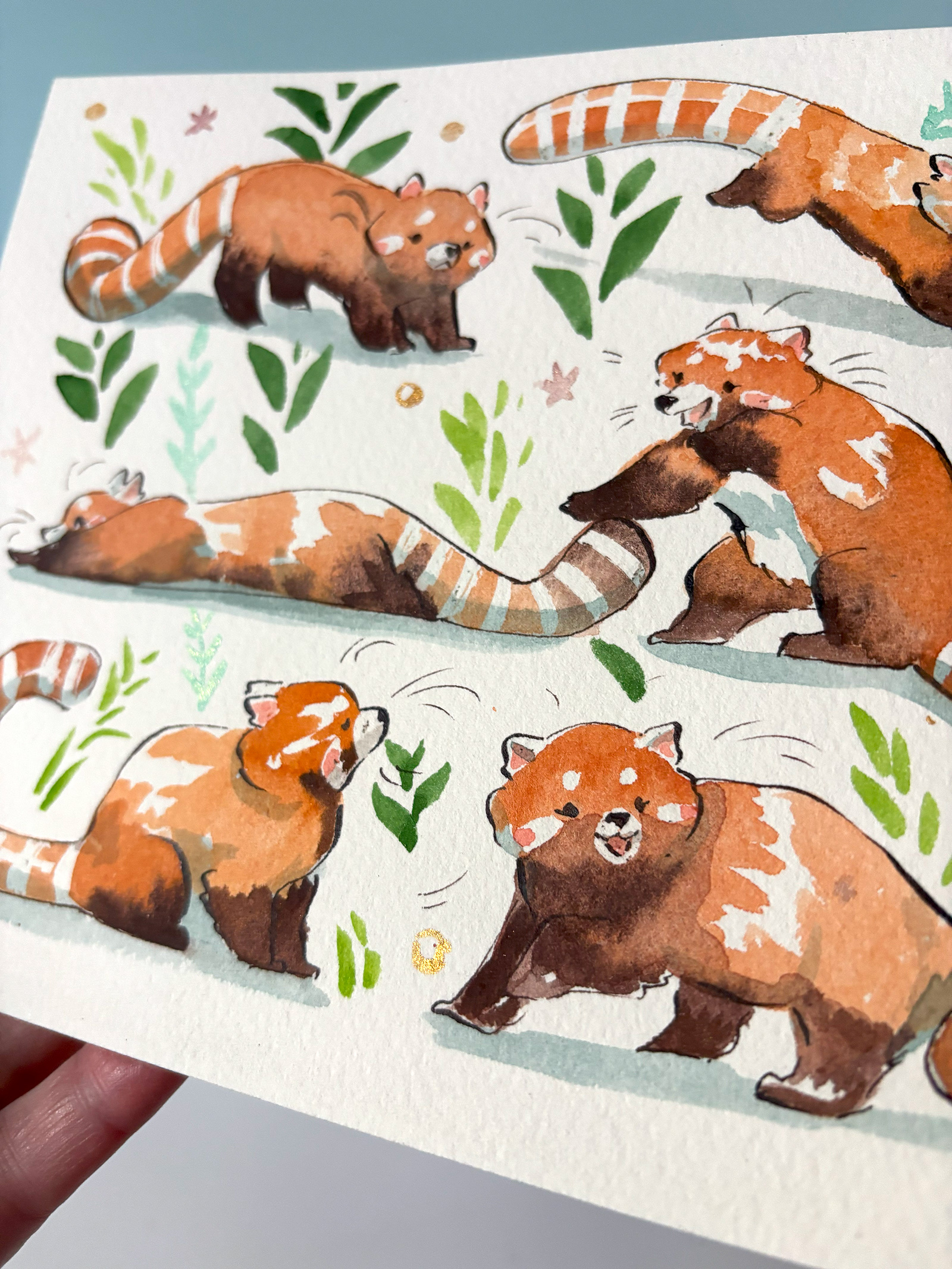 Alternative view of Original Watercolor Painting - 8 red pandas
