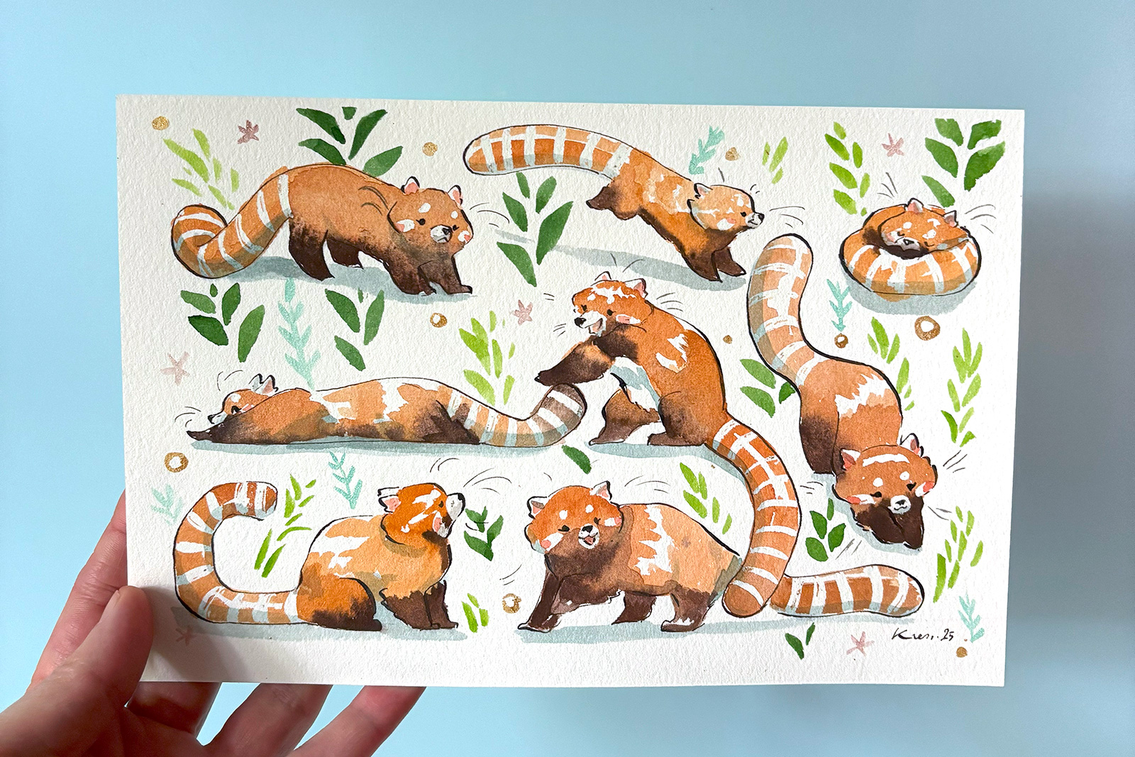 Original Watercolor Painting - 8 red pandas